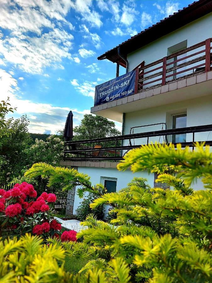 Pokoje Goscinne "Trudzin-Ski" Świeradów-Zdrój Exterior foto